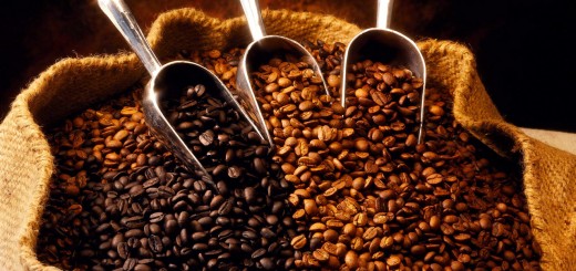 Organic_Coffee_Bean_Sack-520x245