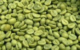 Зеленый кофе помогает избавиться от лишних килограммов